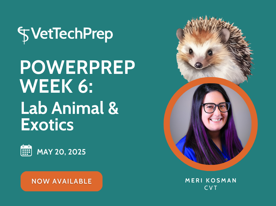 Copy of [VTP] PowerPrep 2025 - Landing Page Images (3)