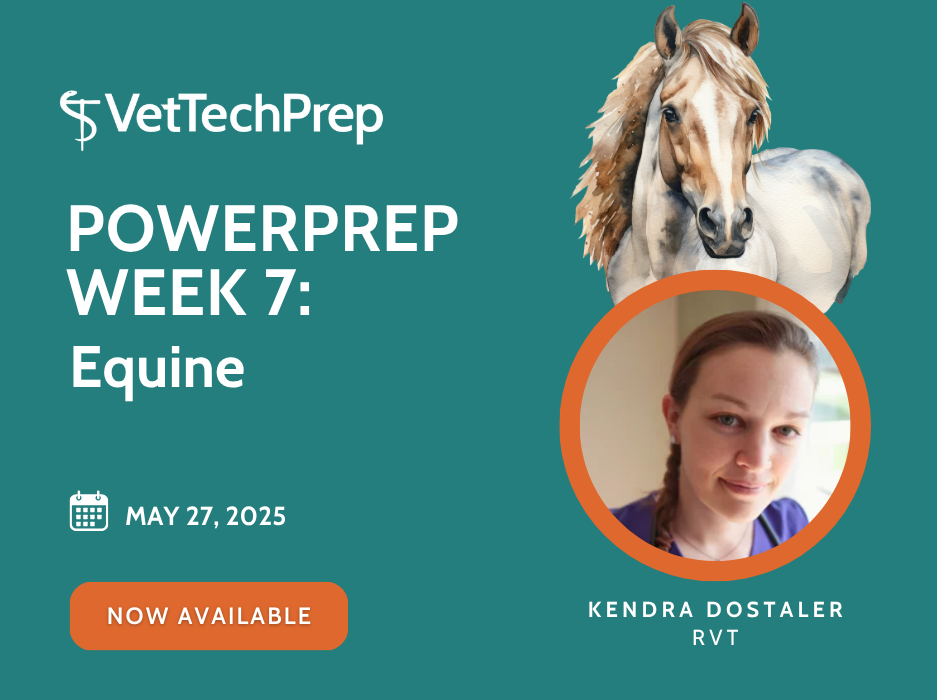 Copy of [VTP] PowerPrep 2025 - Landing Page Images (4)
