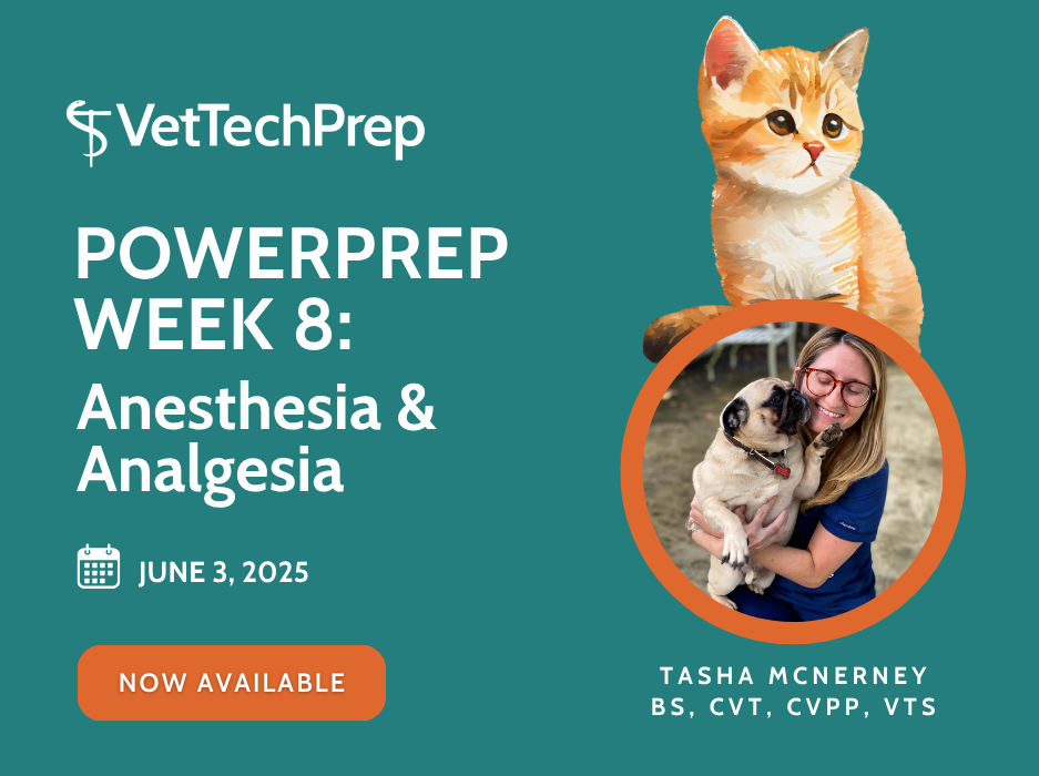 Copy of [VTP] PowerPrep 2025 - Landing Page Images (5)