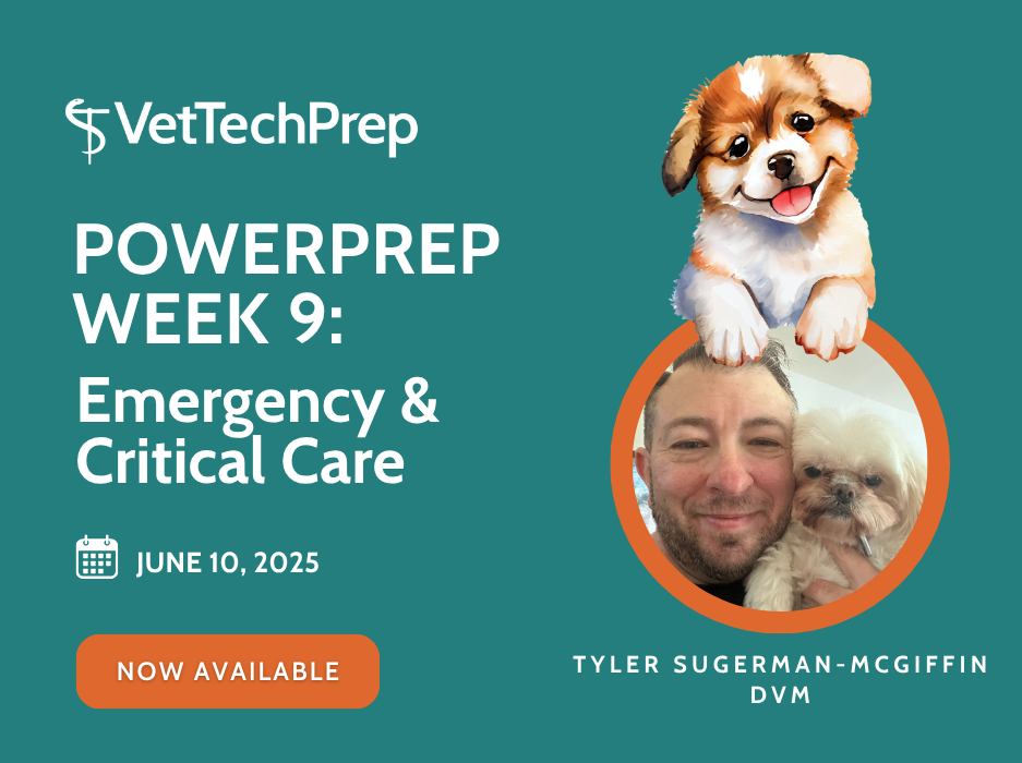 Copy of [VTP] PowerPrep 2025 - Landing Page Images (6)