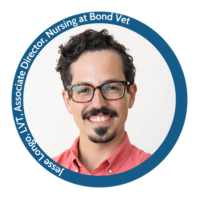 Jesse Longo, LVT, Associate Director, Nursing at Bond Vet 