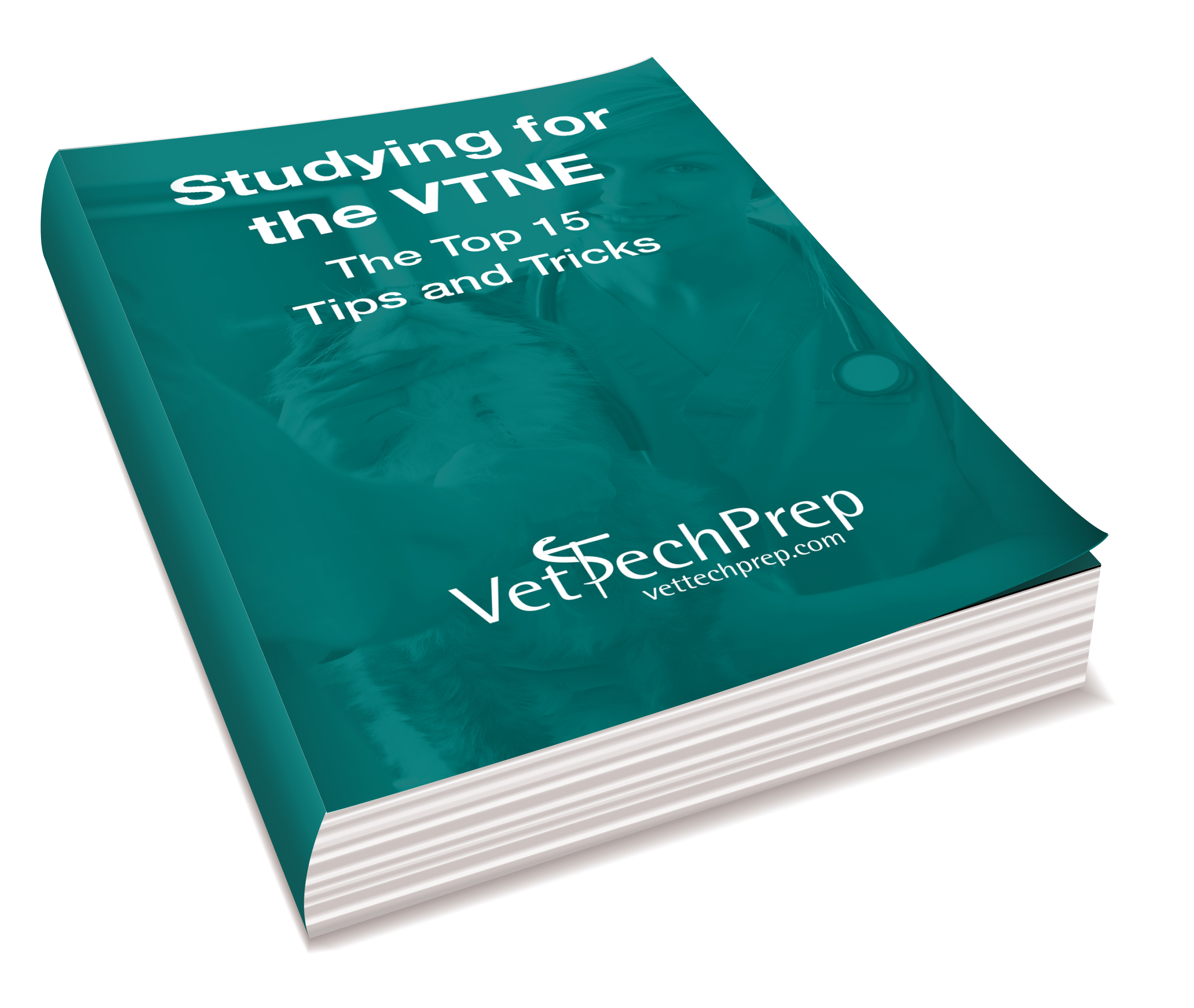 vtne study guide book