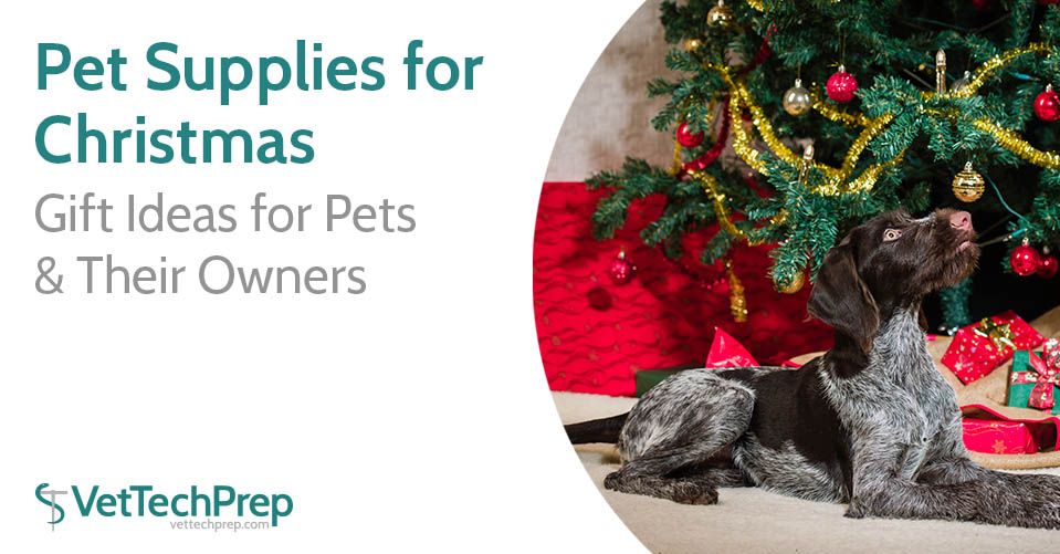 pet supplies for christmas gift ideas for pets their owners pet supplies for christmas gift ideas for pets their owners